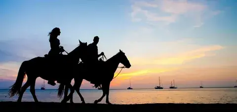 Конные прогулки с женой