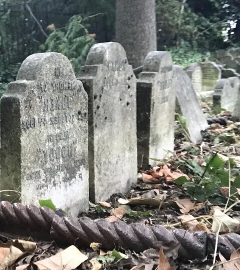 Кладбища домашних животных говорят о том, что они люди