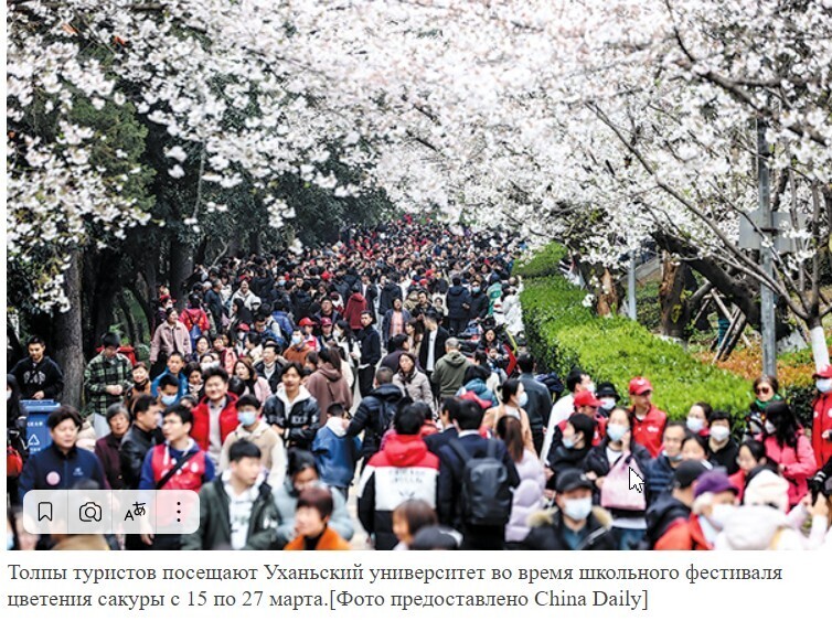 Весенние цветы придают бодрости туризму!