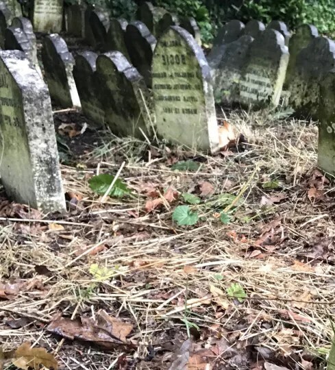 Кладбища домашних животных говорят о том, что они люди