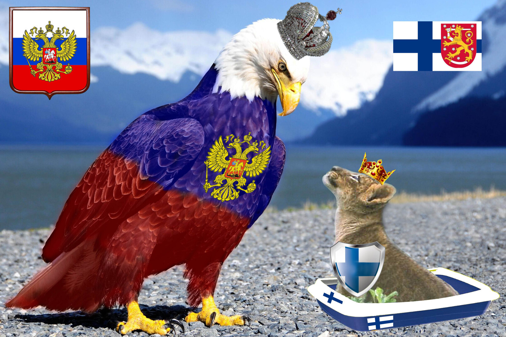 Президент россии и финляндии. Россия и финляндия дружба. Норвегия швеция финляндия. Российско-финляндские отношения. Финляндия дружит с россией.