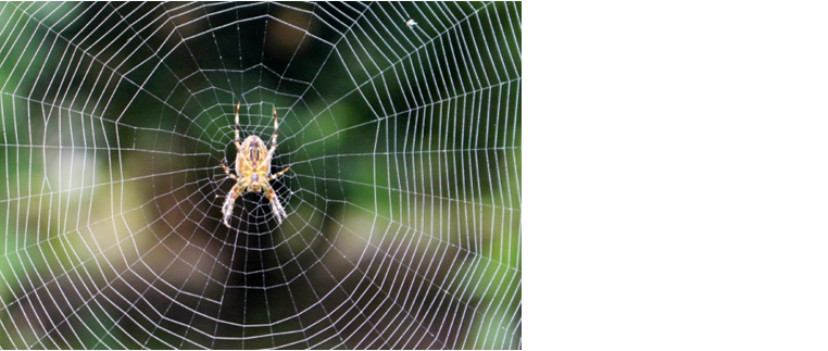 Девичий калейдоскоп. Что это? Читайте и узнаете