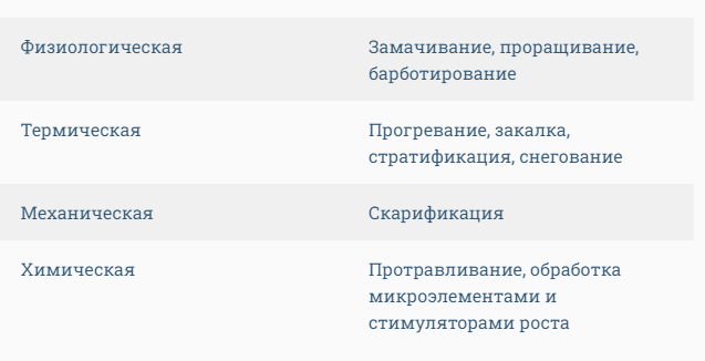 Обработка семян перед посевом в грунт: виды предпосевной обработки для лучшего проращивания и защиты растений от болезней и вредителей