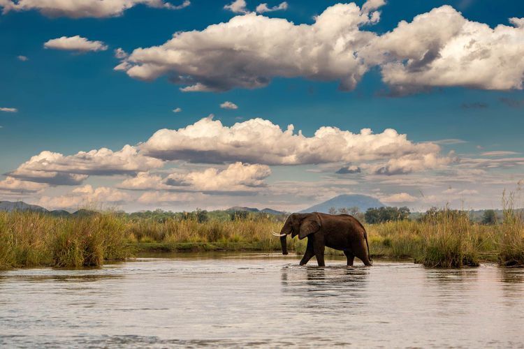 Размышляете, куда поехать на отдых 2023 ? Вот интересные и необычные места, которые подарят впечатления на всю жизнь и отвлекут от невзгод! Часть 1.