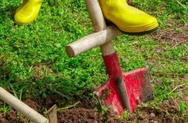 Весенняя подготовка почвы на участке: перекопка, боронование.