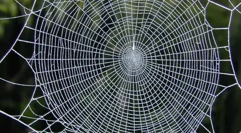 Секреты шелкового оружия.