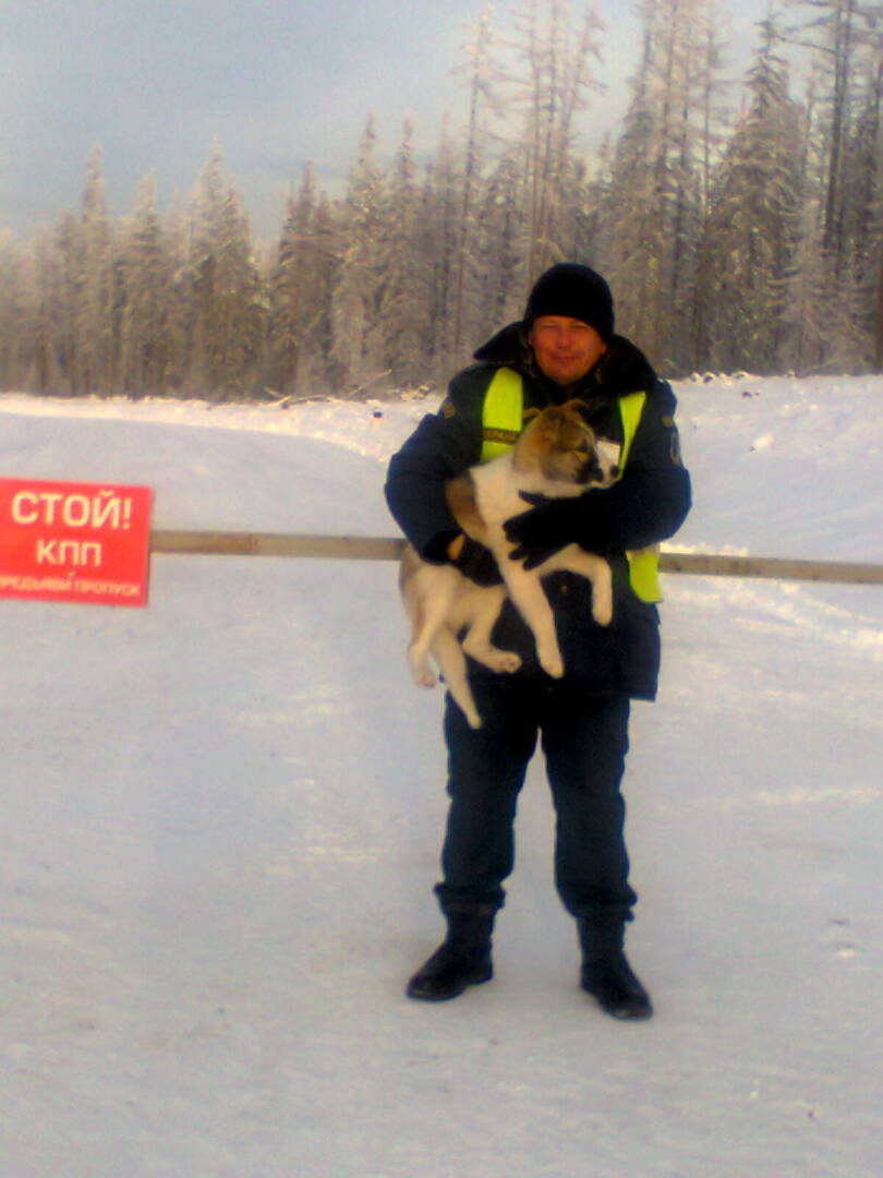 Как найти хорошую работу, или где подработать?