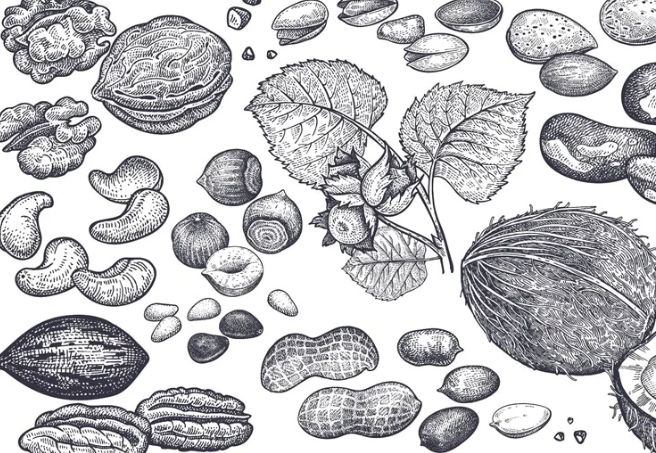 Сборник докладов по орехам, представленных на NUTS 2022