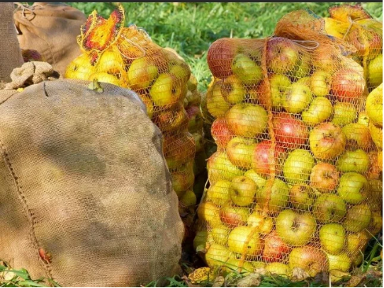 Помощь подруги Маши.