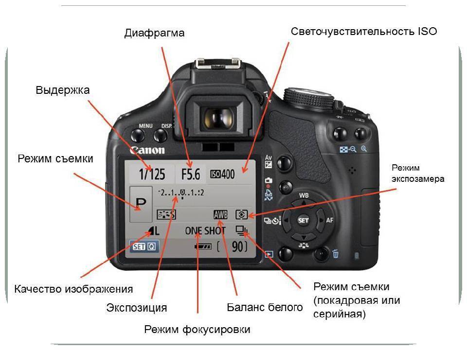 Какая карта нужна для видеокамеры