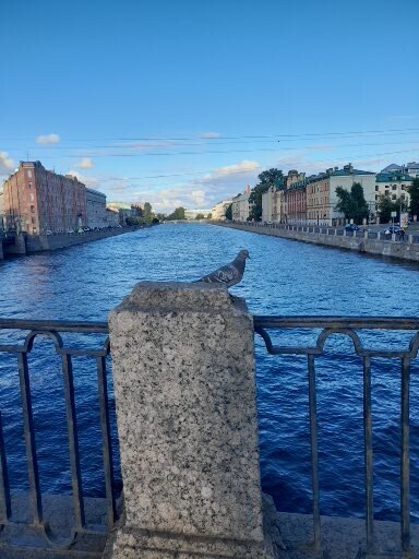 Когда решение вступит в законную силу: развеиваем мифы и сомнения