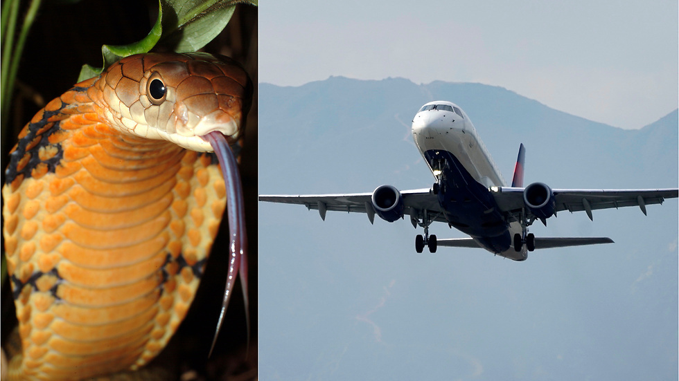 Ужас пилота - 3000 метров в воздухе: "Слышно, как упала булавка"