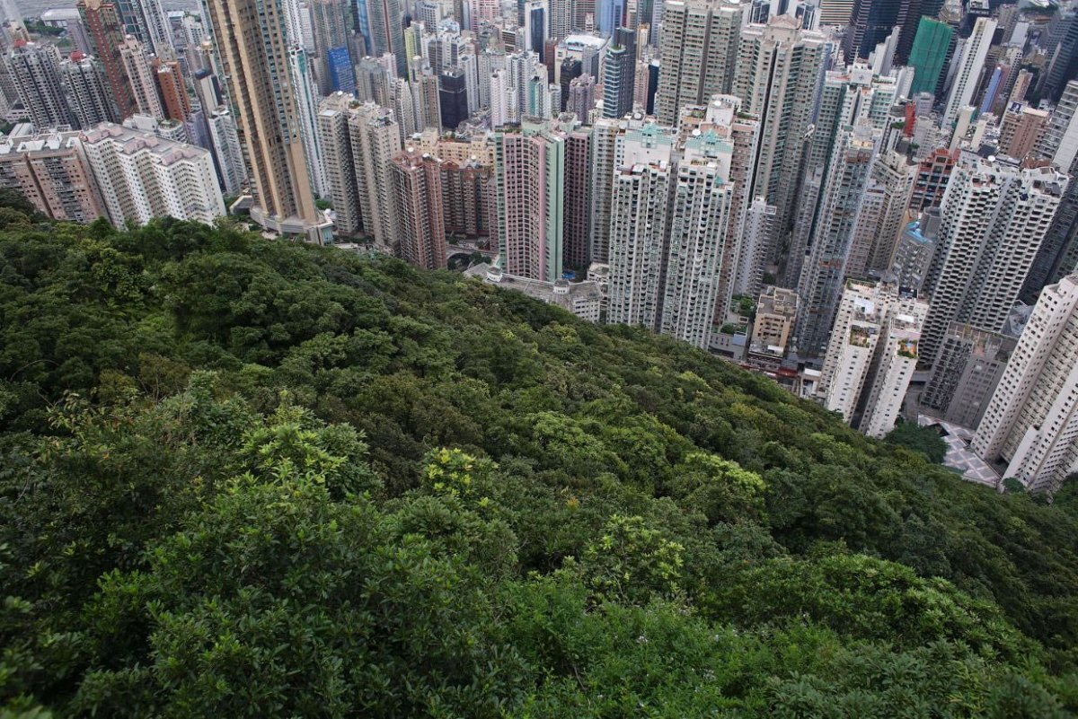 Каменные джунгли Гонконга