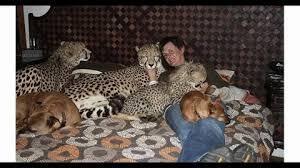 Опасности содержания диких животных в квартирах и частных домах