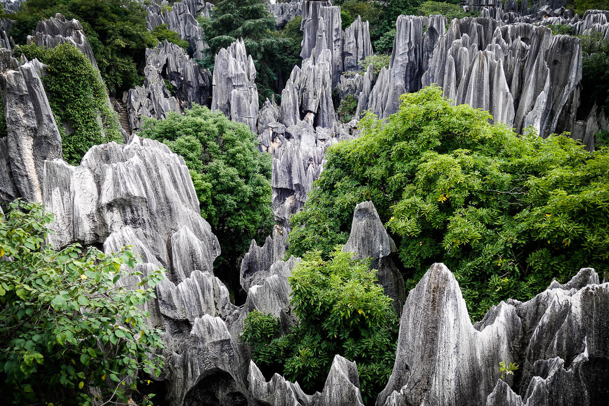 Национальный парк каменный лес в китае фото