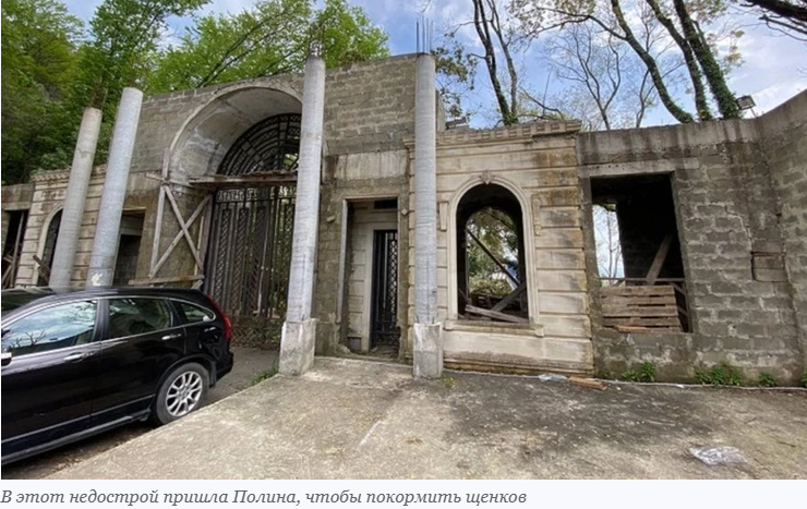 Четвероногие друзья. Собачки-людоеды