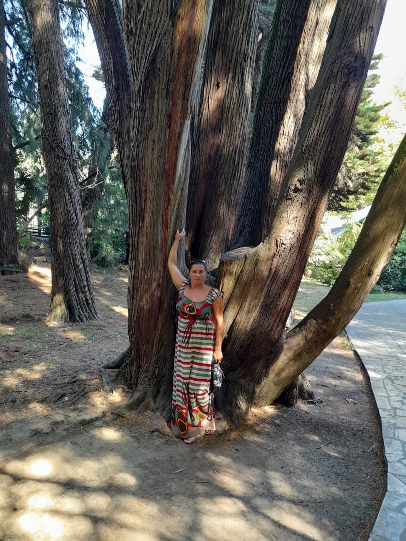 Сочинский дендрарий. Мои воспоминания, продолжение.