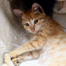 Наталья, г. Оренбург