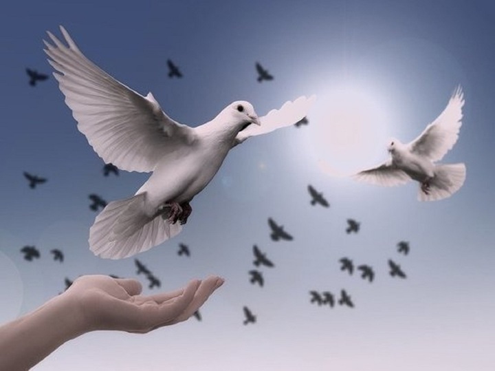 Благовещение-2023: когда празднуют и зачем выпускают голубей? Что еще известно о традициях и запретах этого дня?