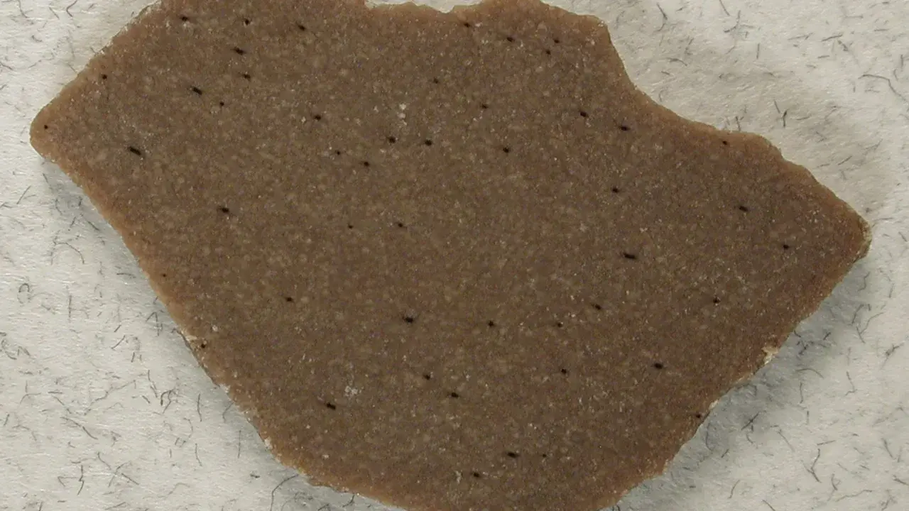 Яйца — символ новой жизни, но они также могут многое рассказать о прошлом.