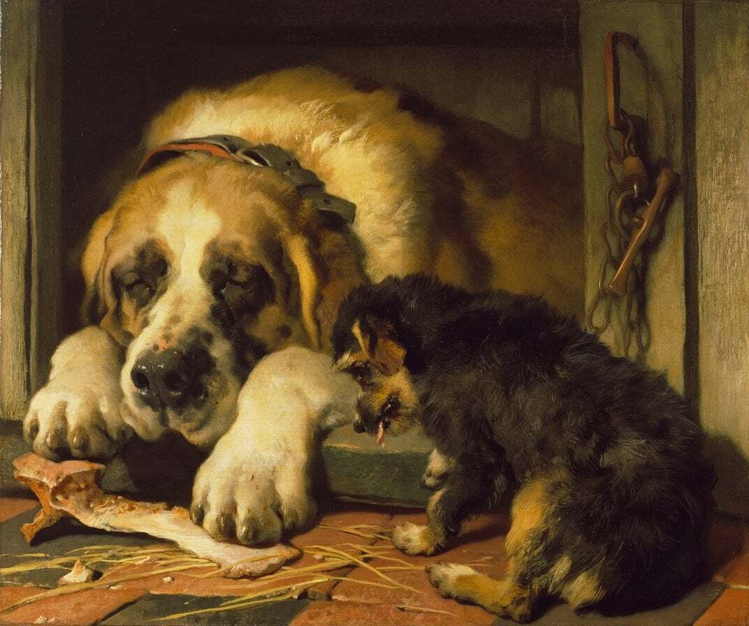 Образ собаки. Эдвин Генри Ландсир. Edwin Henry Landseer художник. Эдвин Ландсир Сенбернар. Эдвин Ландсир (1802-1873).