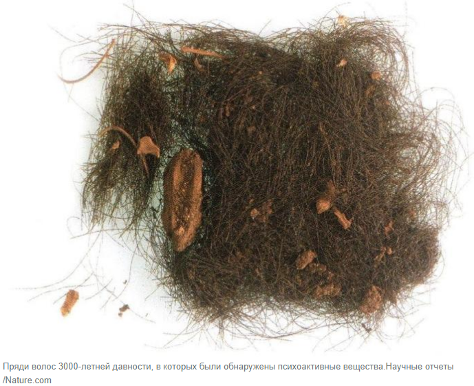 Древние люди накачивались галлюциногенами во время пещерных ритуалов 3000 лет назад, утверждает исследование.