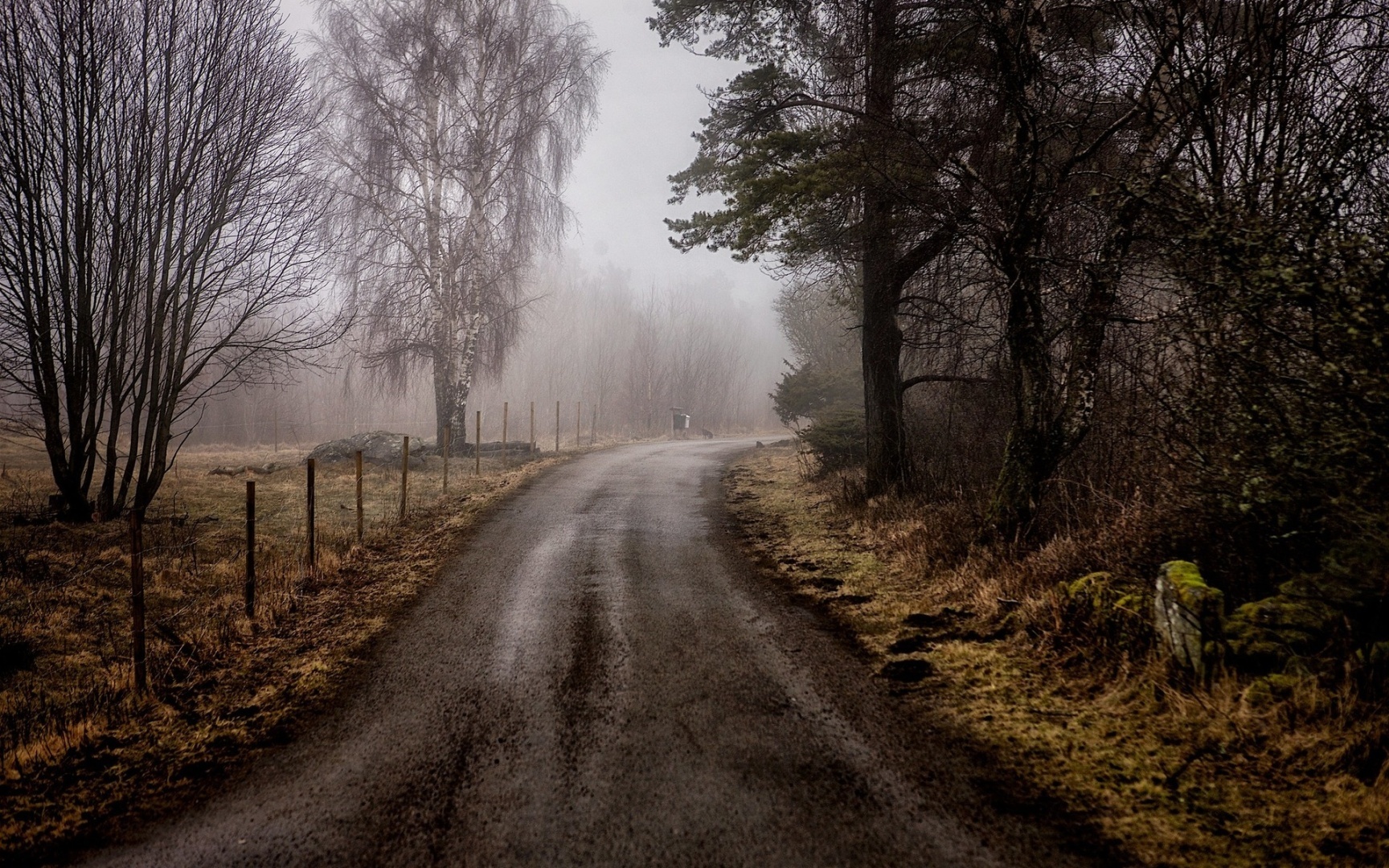 Что делать дома, когда на улице сильный дождь?