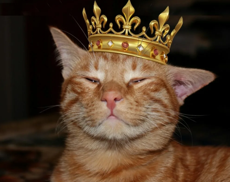 5 типов людей, от которых нужно держаться по дальше. Как распознать характер человека?