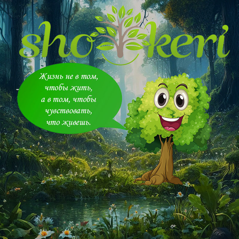 🌱 Практические шаги, как стать менее материалистичным 🌱