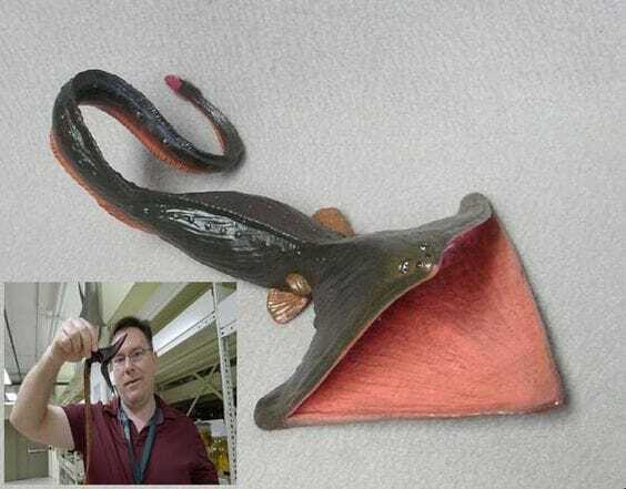 ...Имеется свой "чужой"