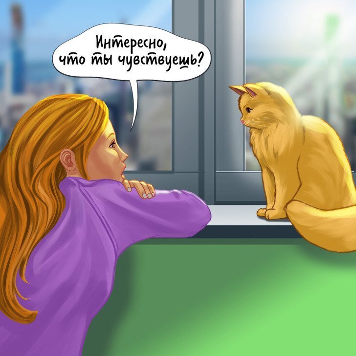 Могут ли животные любить ?