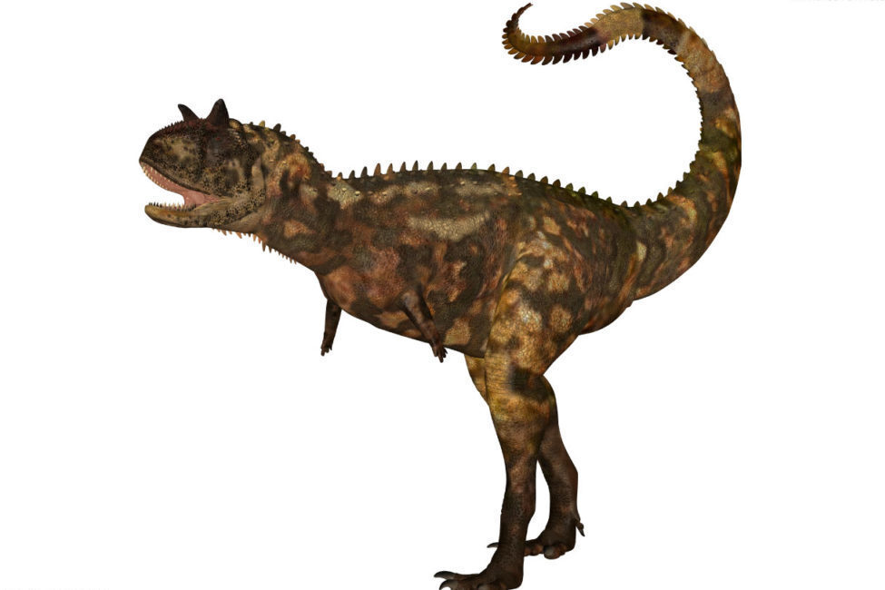 Интересная порода динозавров брахиозавр и