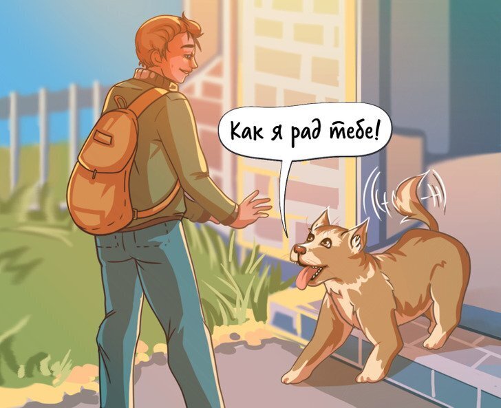 Могут ли животные любить ?