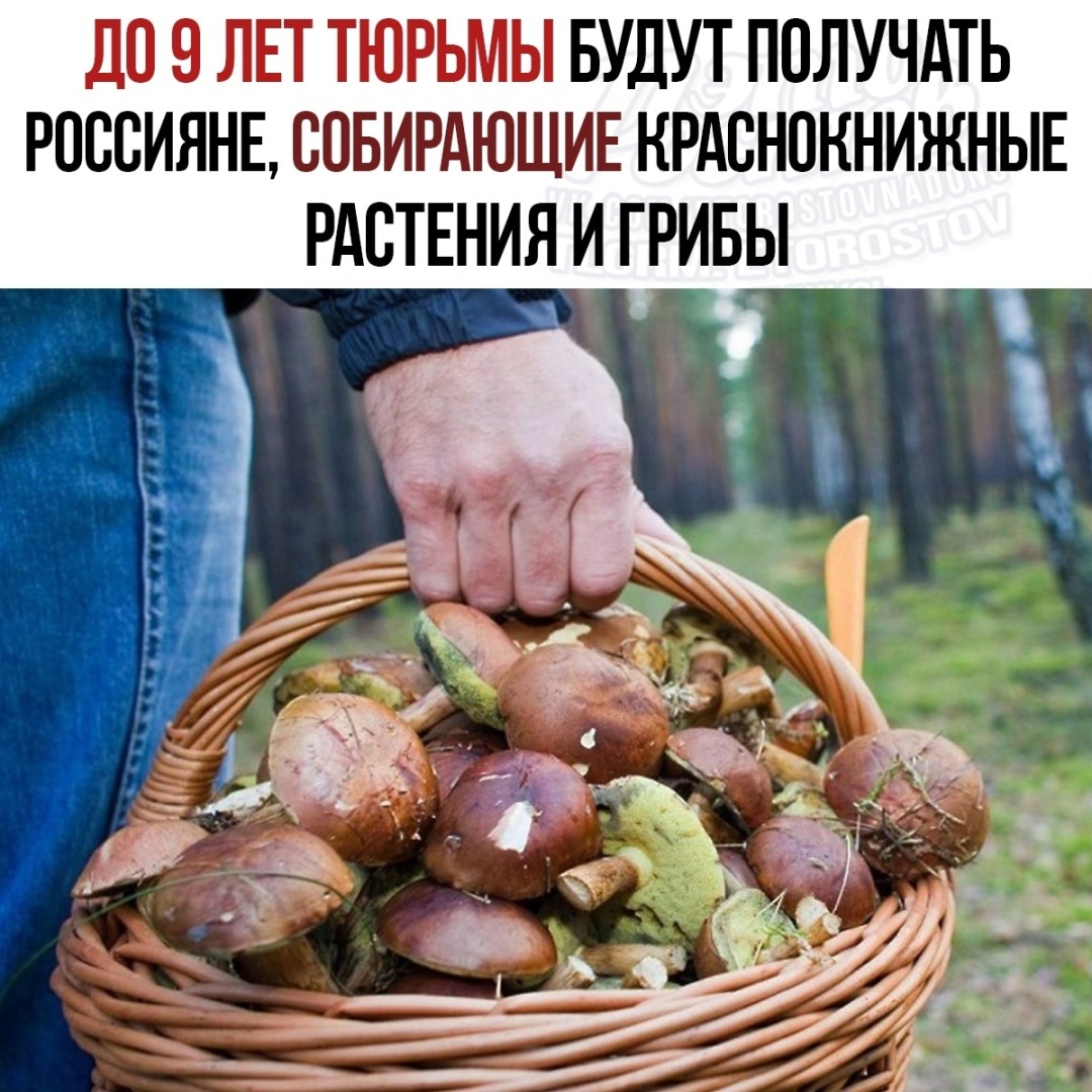 За мойку и ремонт машин на дачах начнут штрафовать