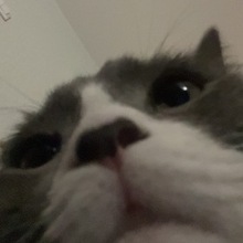 Ольга, г. Цюрих