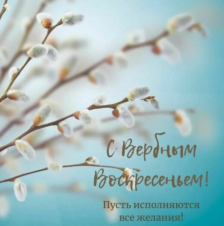 "Вербное воскресенье: символ победы жизни над смертью и память о трагедии"
