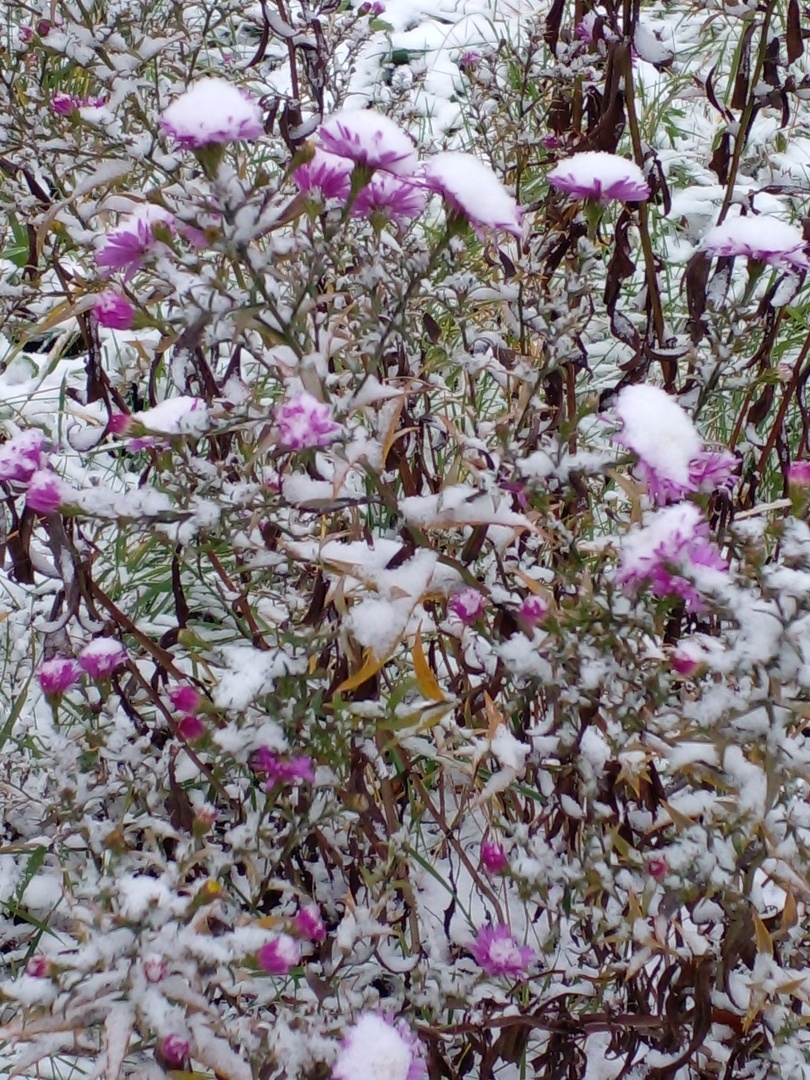 Объединение смежных участков