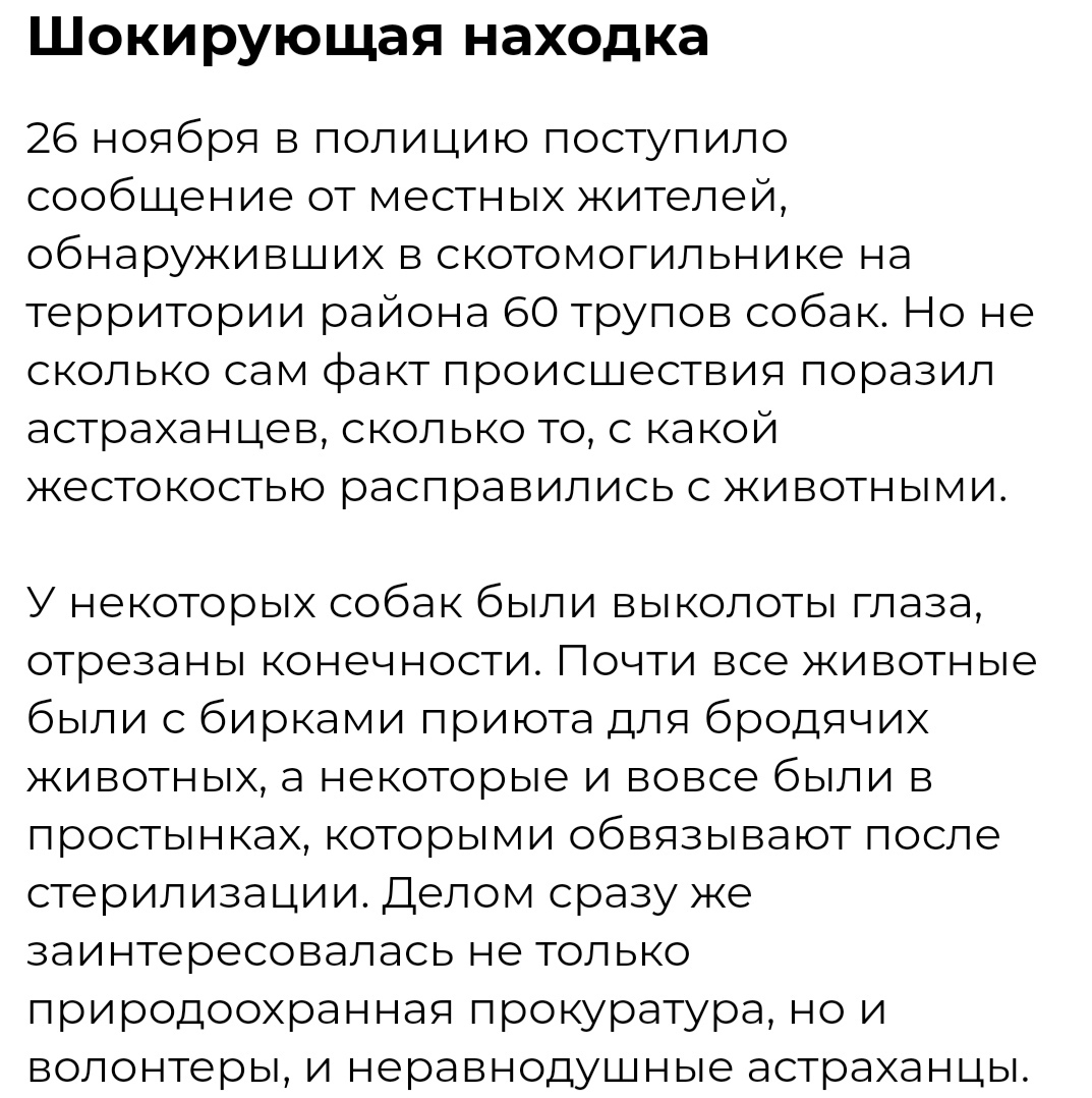 К слову об астраханских собаках-убийцах Строго 18+