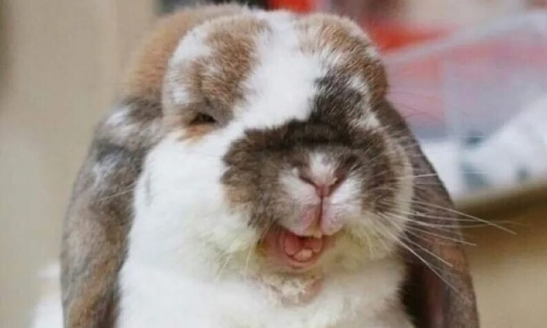 🌺Что делать если вы все время чувствуете себя неловко? Кто подвержен социальной неловкости? Нужно ли бороться с неуверенностью в себе?🌺