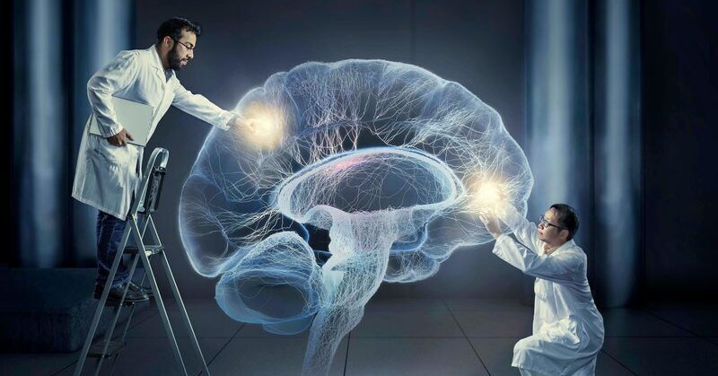 Ученые выяснили, как создаются ложные воспоминания