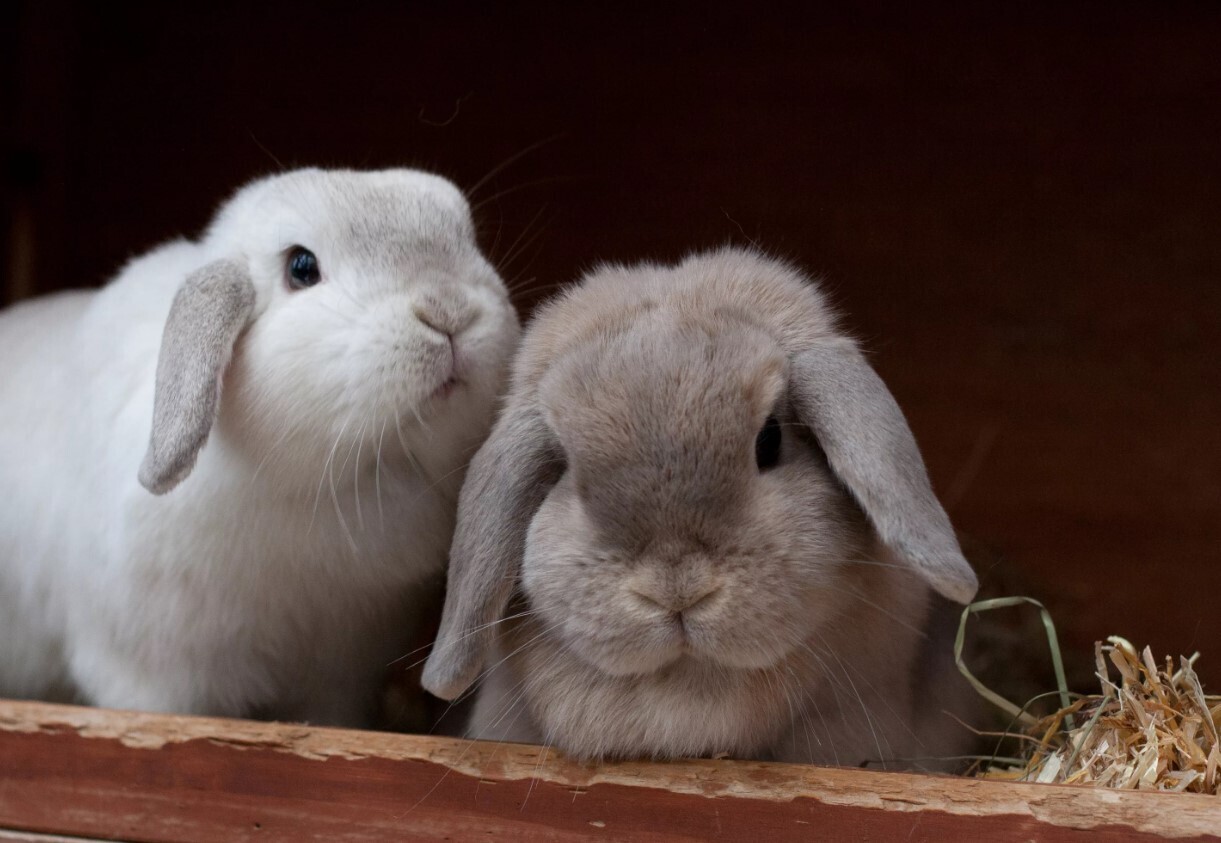 🌺Что делать если вы все время чувствуете себя неловко? Кто подвержен социальной неловкости? Нужно ли бороться с неуверенностью в себе?🌺
