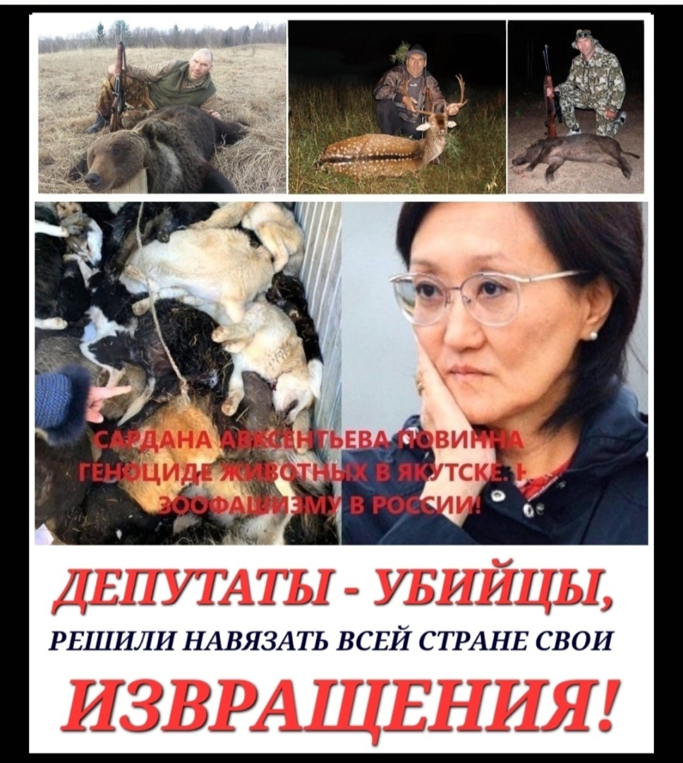 К слову об астраханских собаках-убийцах Строго 18+