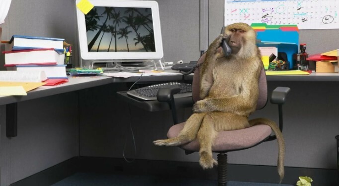 9 простых списков, которые помогут стать продуктивнее. Список "не дел". Чем полезен список "не дел" и как его составить?