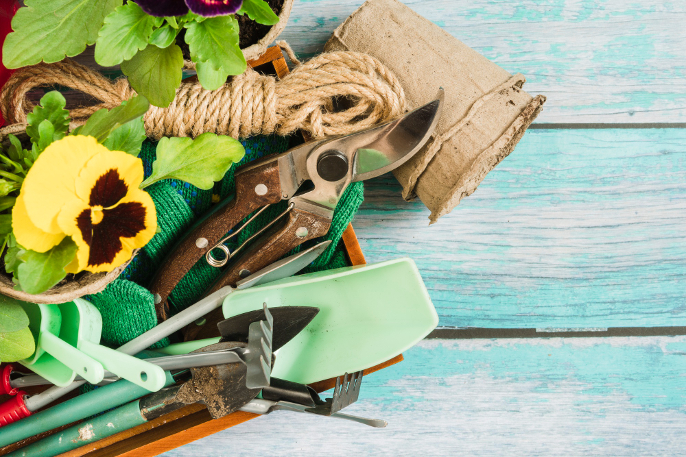 Полезные советы садоводу, огороднику и цветоводу на апрель