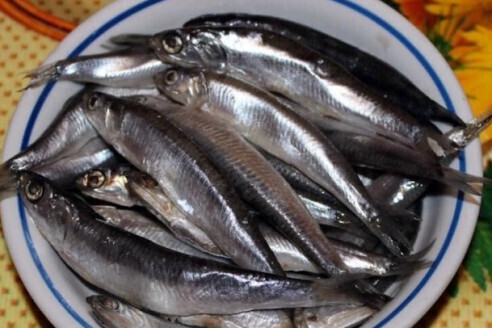 Названы 3 самых опасных сорта рыбы