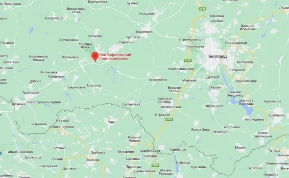 ВСУ убивают животных? При обстреле фермы в Белгородской области погибли 178 свиней