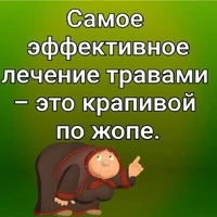 лечение  травами.jpg