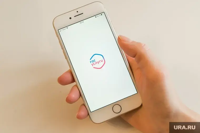 Как проверить правильный расчет пенсии