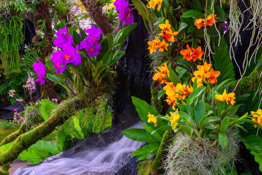 Парящий парк в Китае.