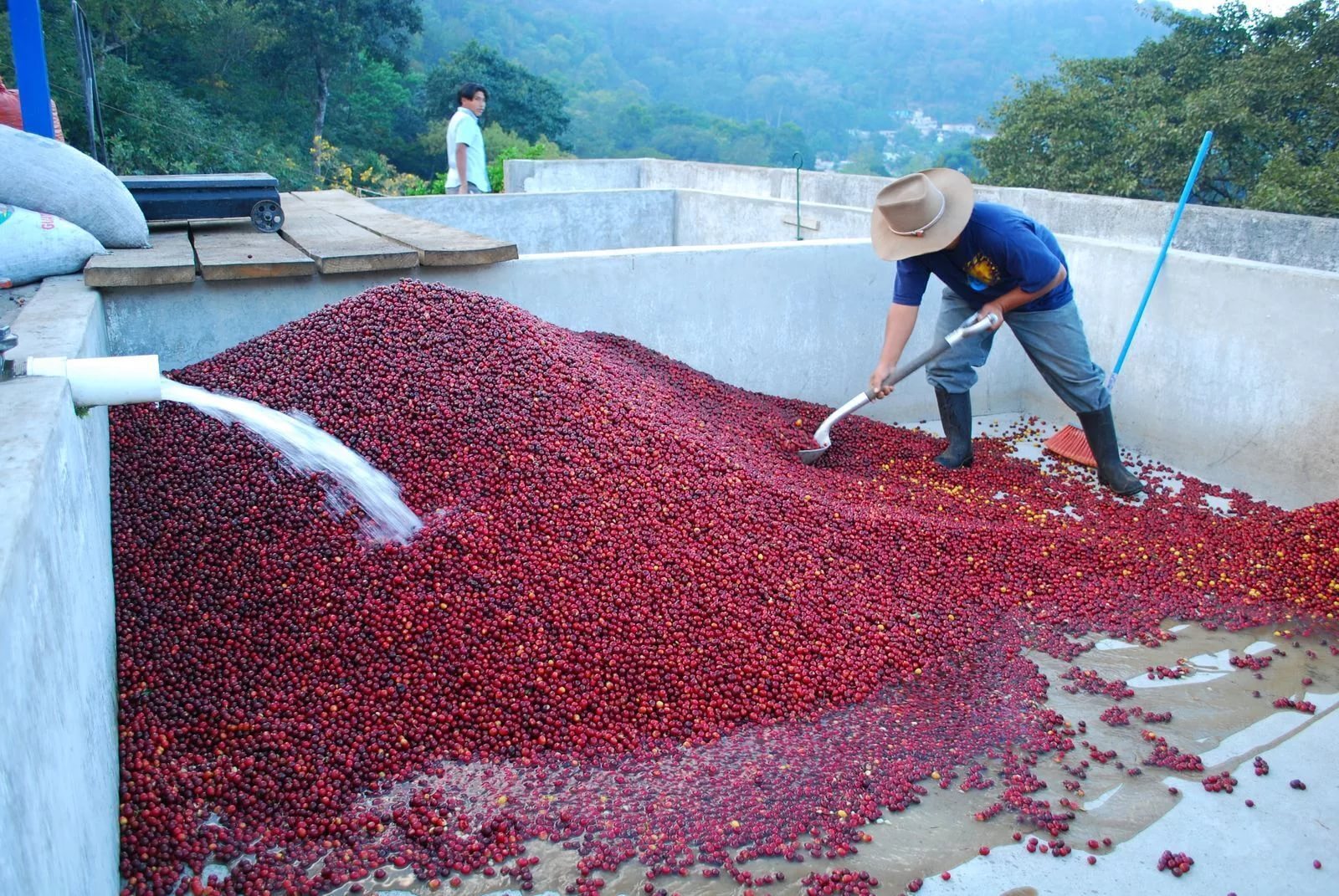 Руанда - страна тысячи холмов